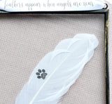 Paw Print Real Feather Floating Frame