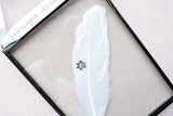 Paw Print Real Feather Floating Frame