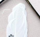 Paw Print Real Feather Floating Frame