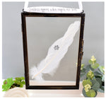 Paw Print Real Feather Floating Frame