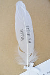 Personalised Feather In Memory Frame